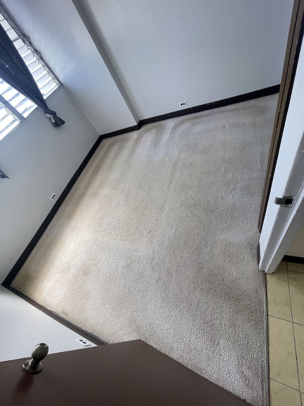 After: the same carpet after AAA Superior deep cleaning