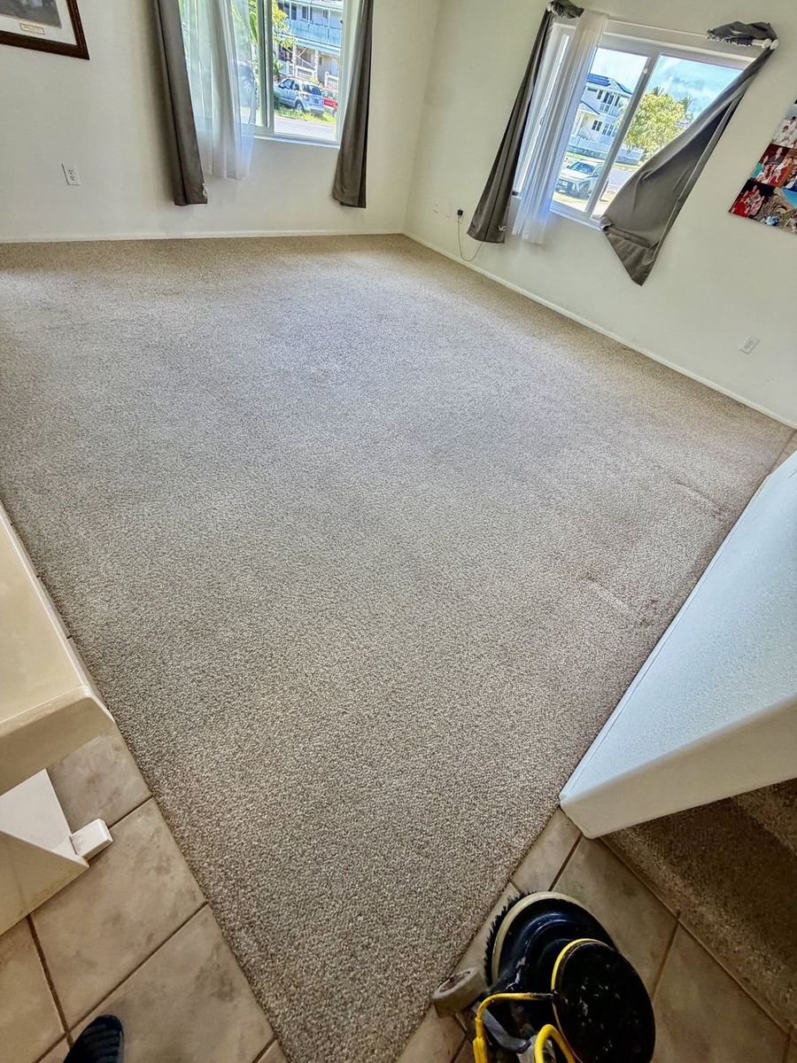After: the same Oahu living room carpet cleaned and refreshed by AAA Superior