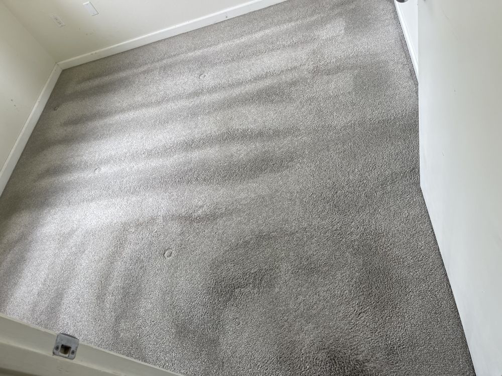 After: the same carpet after AAA Superior deep cleaning