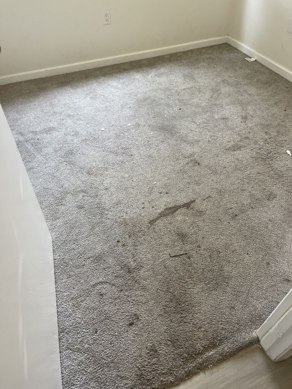 Before: carpet before professional cleaning by AAA Superior