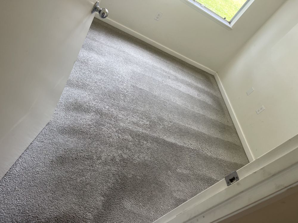 After: the same carpet after AAA Superior deep cleaning