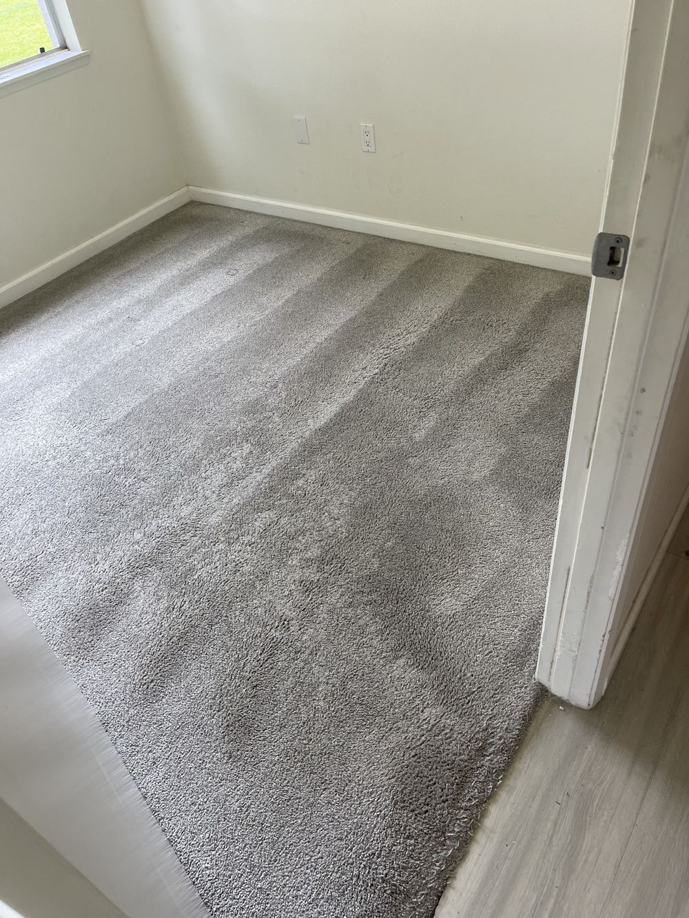 After: the same carpet after AAA Superior deep cleaning