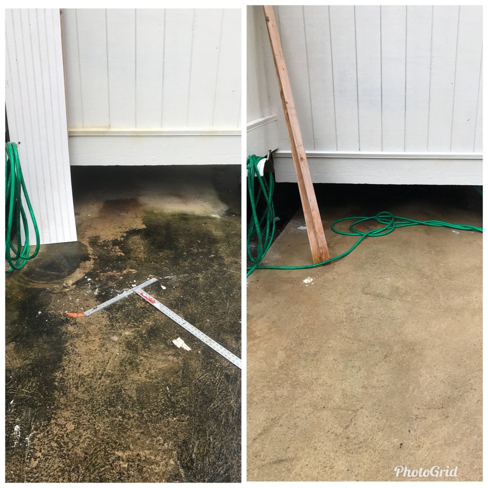 After: the same carpet after AAA Superior deep cleaning