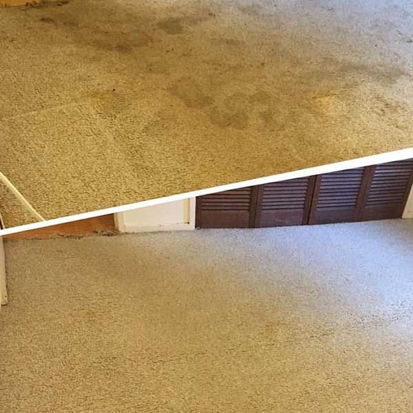 Carpet Stain Removal Results