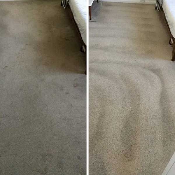 Rug Cleaning Service