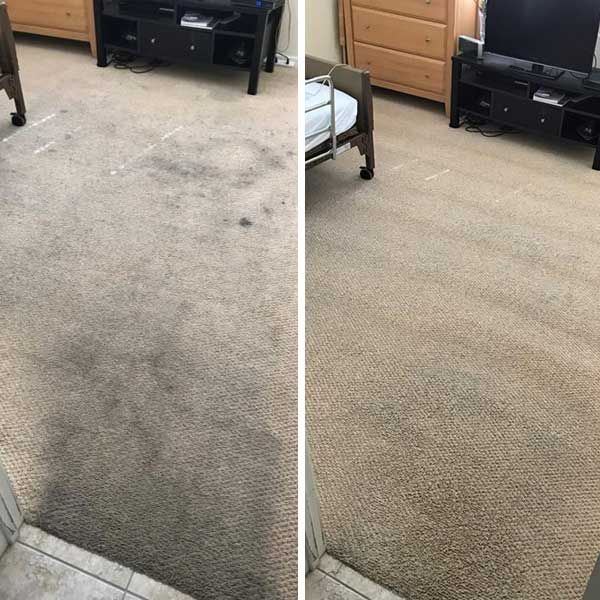 Carpet Cleaning Before and After