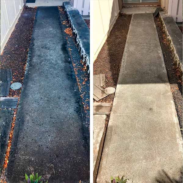 Rug Cleaning Results