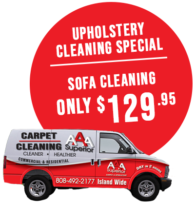 Upholstery Cleaning Special