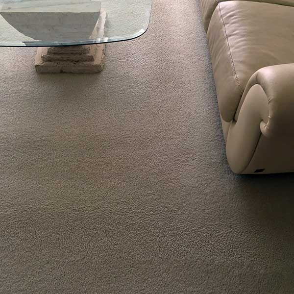 Carpet Cleaning Results